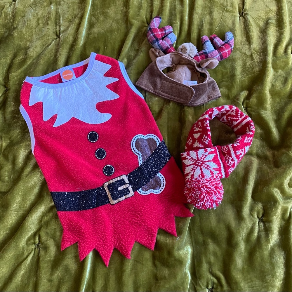 Bundle Of Christmas Dog Clothing & Accessories